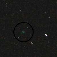 Komet Machholz am 16. Januar 2005 um 03.09 MEZ in 29556 Hamerstorf. Foto: Jost Jahn, Kamera: Nikon Coolpix 5000, t=34.79s, f=38 mm (Eff.), f/2.8, ISO 400, interner Rauschabzug.