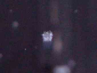 Schneeflocken am 5.2.2003, Olympus E-100 RS, Blitz, 1/200 s, F/3.5, f=382 mm, unbearbeitet, Foto: Jost Jahn