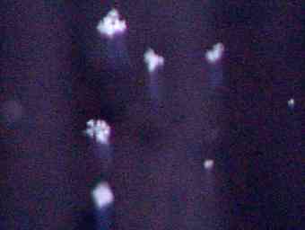 Schneeflocken am 5.2.2003, Olympus E-100 RS, Blitz, 1/200 s, F/3.5, f=382 mm, aufgehellt + kontrastiert, Foto: Jost Jahn