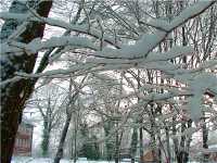 4. Januar 2003, Burg im Schnee, Foto: Jost Jahn