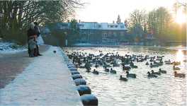 8. Januar 2003, Ratsteich in Uelzen, Foto: Jost Jahn