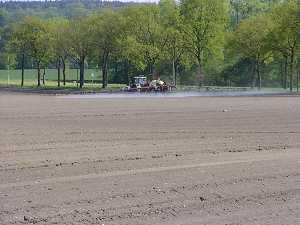 7. Mai 2003, Unkrautvernichtung, Foto: Jost Jahn