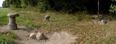 7. September 2003, Steinpilz bei Bahnsen, Foto: Jost Jahn