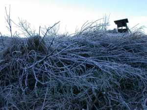 16. Januar 2005, Winterliche Idylle bei Hamerstorf, Nikon 995, Foto: Jost Jahn