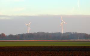 5. Februar 2005, Windrder bei Klein Sstedt beim Sonnenaufgang, Nikon 995, Foto: Jost Jahn