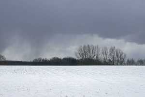 27. Februar 2005, Winterspaziergang, Schneeschauer, Nikon Coolpix 995, Foto: Jost Jahn