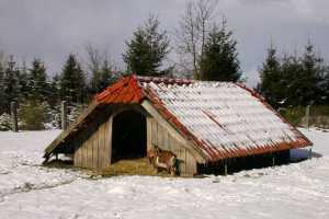 27. Februar 2005, Winterspaziergang, Ziegenstall, Nikon Coolpix 995, Foto: Jost Jahn