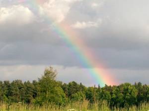 Regenbogen bei Hamerstorf am 1. Juni 2006, 1/300s, 160mm (KB), 100 ASA, f/6.8, Nikon 5000, Foto: Jost Jahn